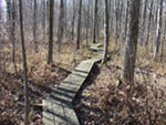 boardwalk trail